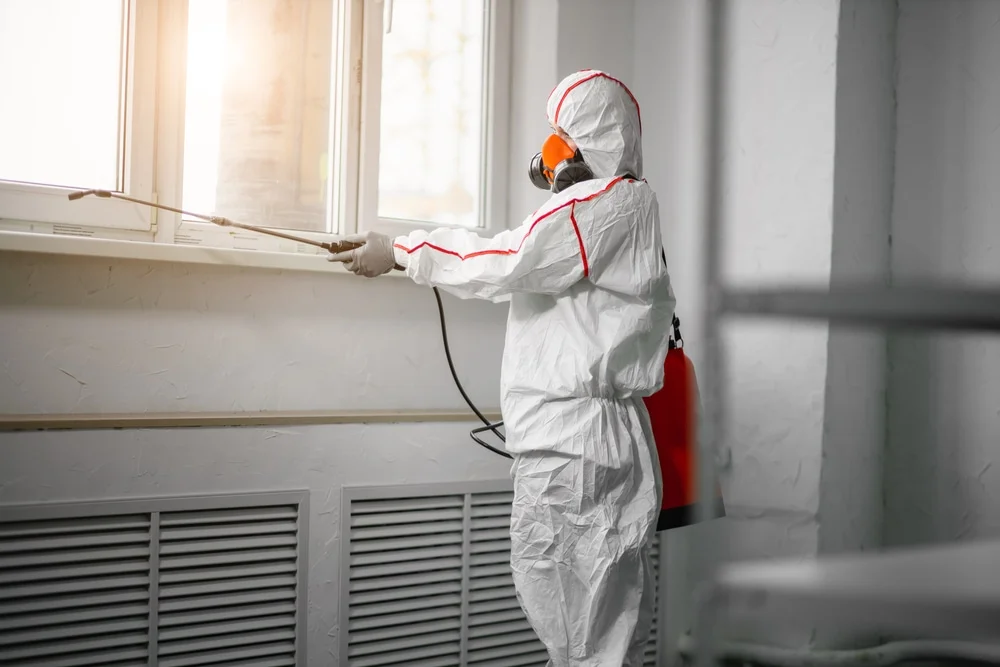 Professional mold remediation services in Middletown, OH